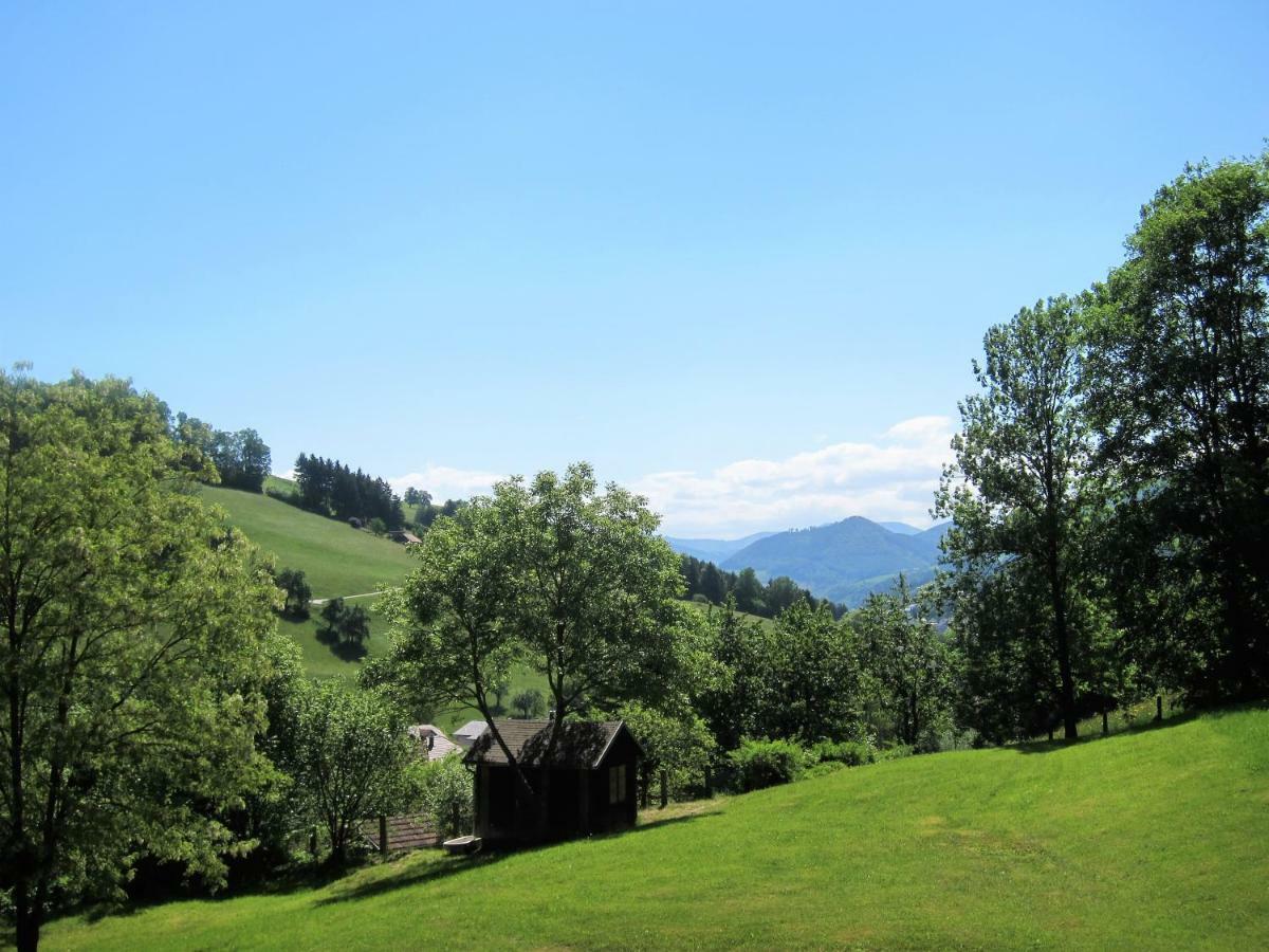 Appartement Ambiente Waidhofen an der Ybbs Exterior foto